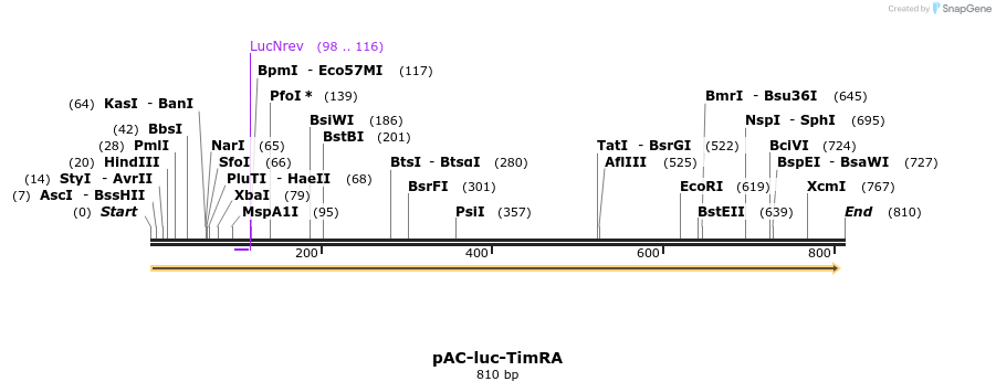 41740_map