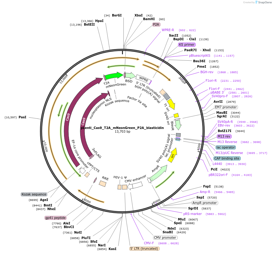 417774_map