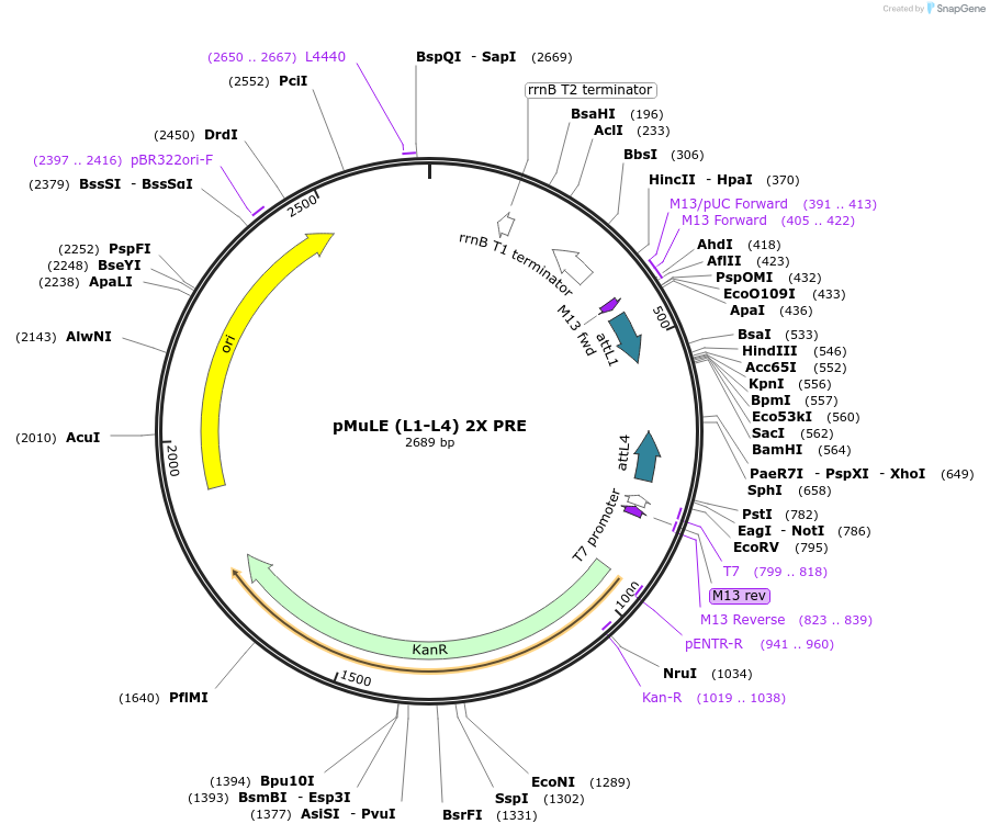 417822_map