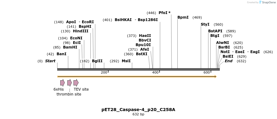418077_map