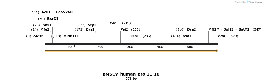 418078_map