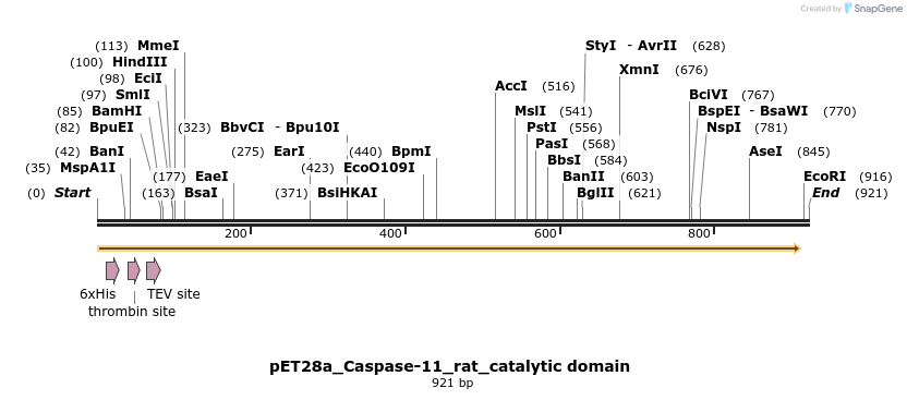 418080_map