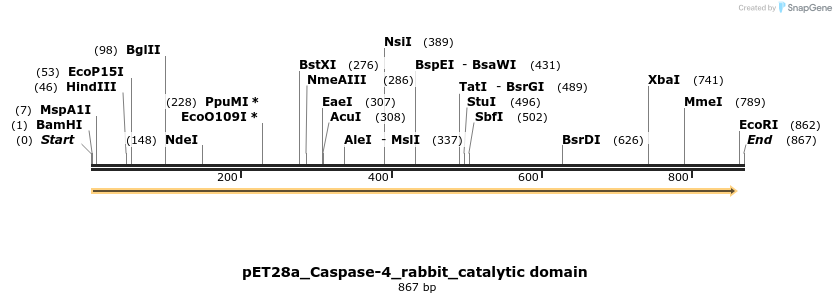 418081_map