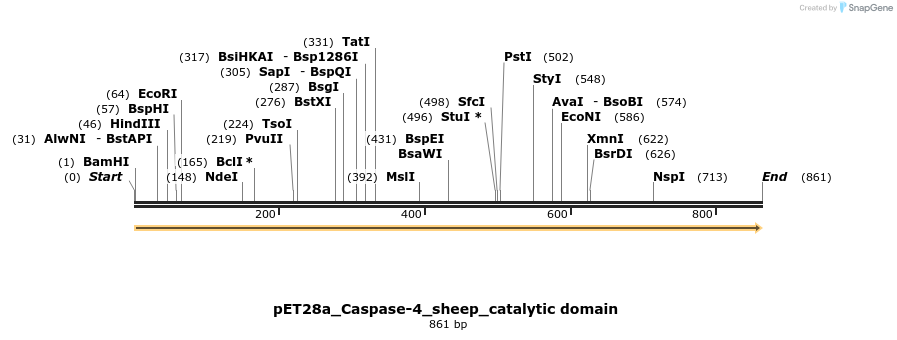 418082_map