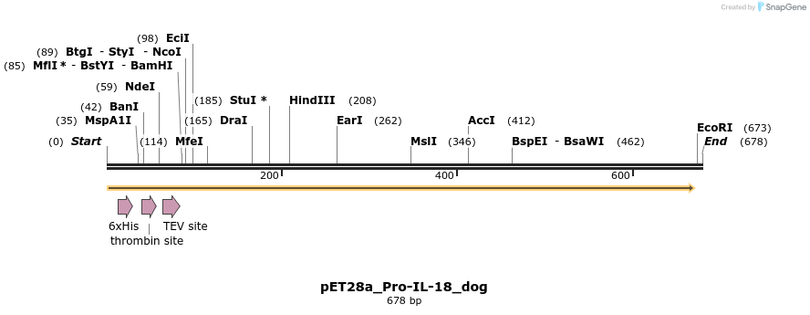 418087_map