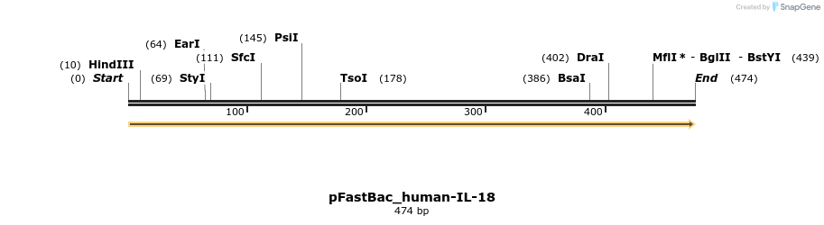 418089_map