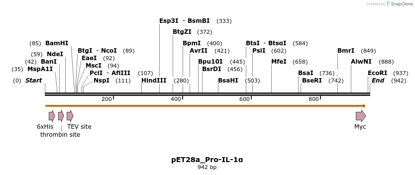 418091_map