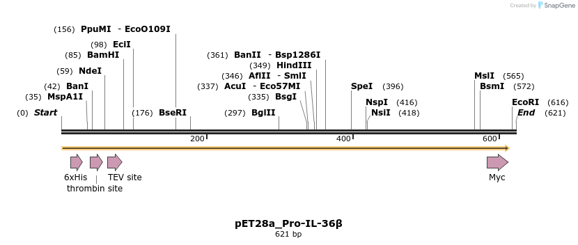 418094_map