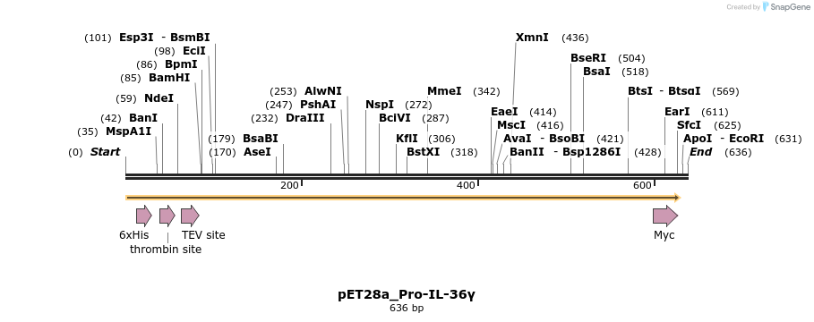 418095_map