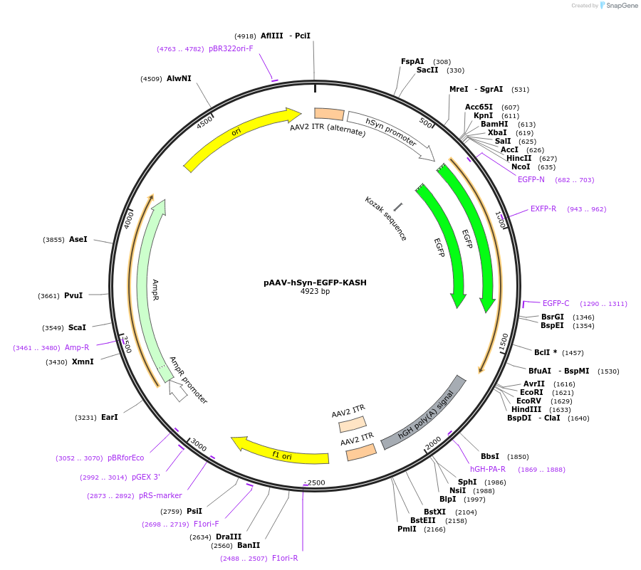 418201_map