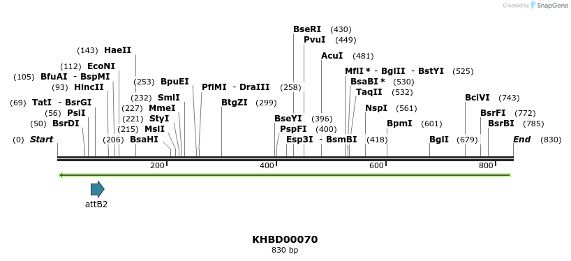 41825_map
