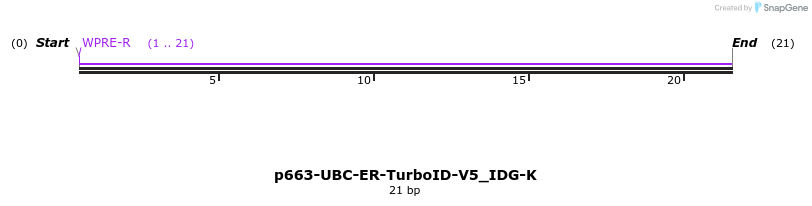418391_map