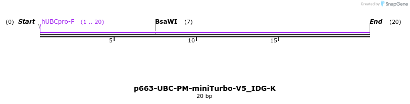 418392_map