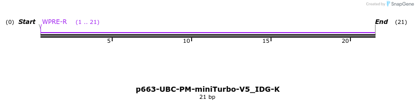 418393_map
