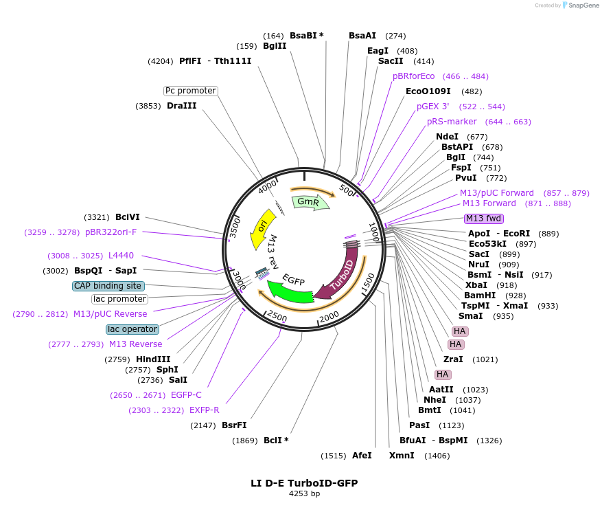418447_map