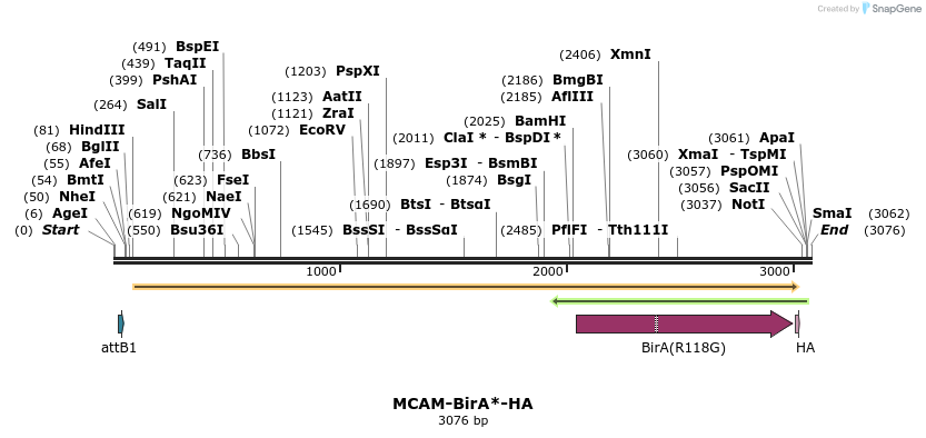 418469_map