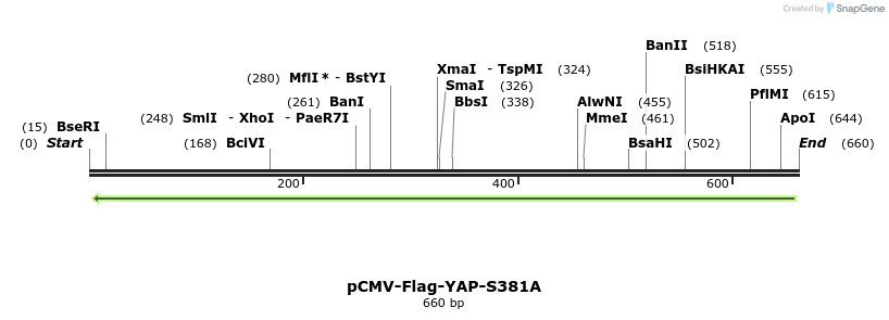 41856_map