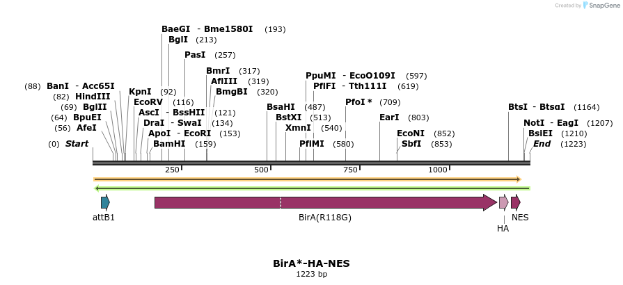418619_map