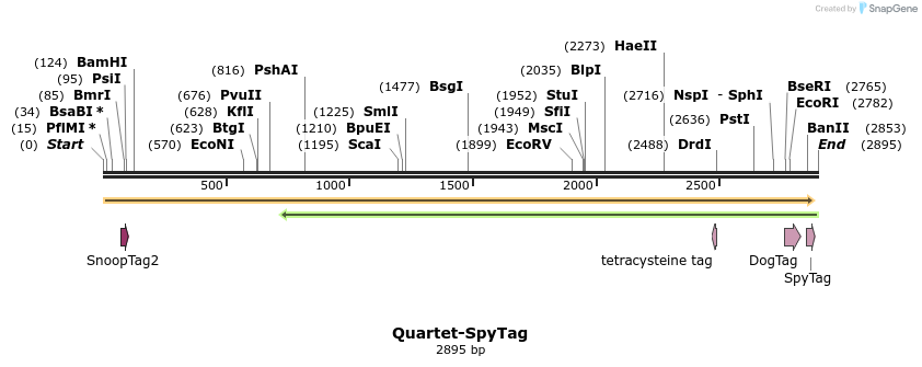 418819_map