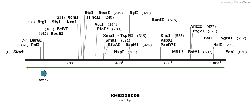 41882_map