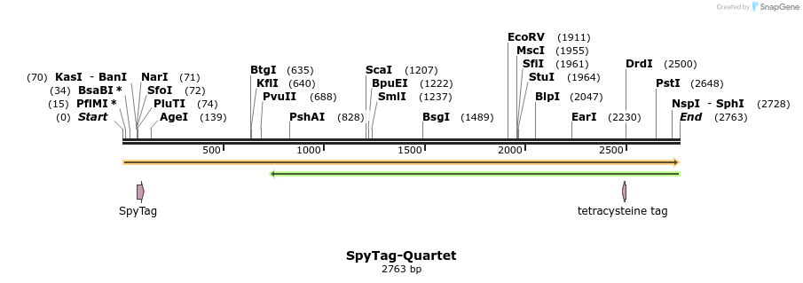 418820_map