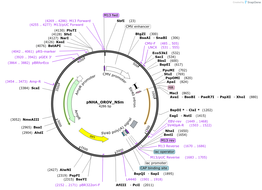 419020_map