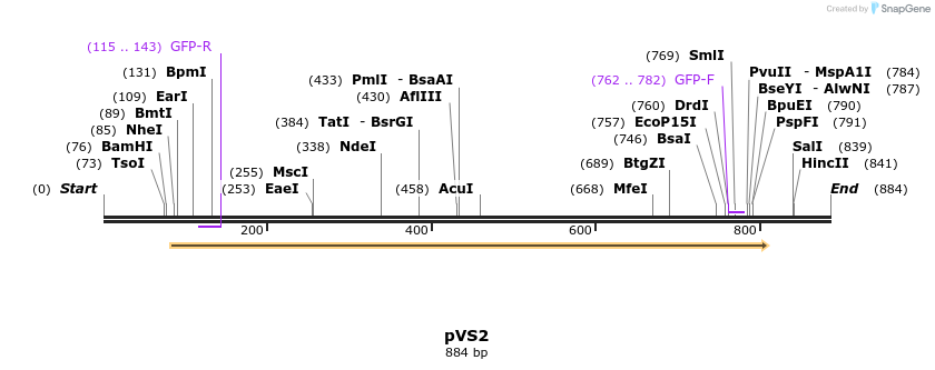 41904_map