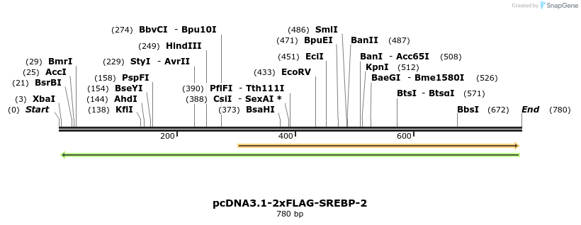 41907_map