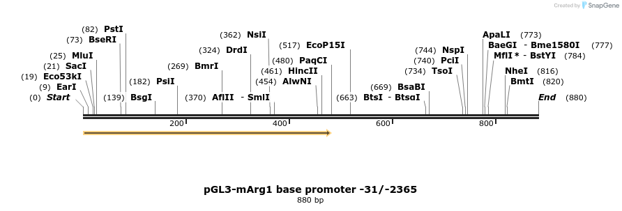 41915_map