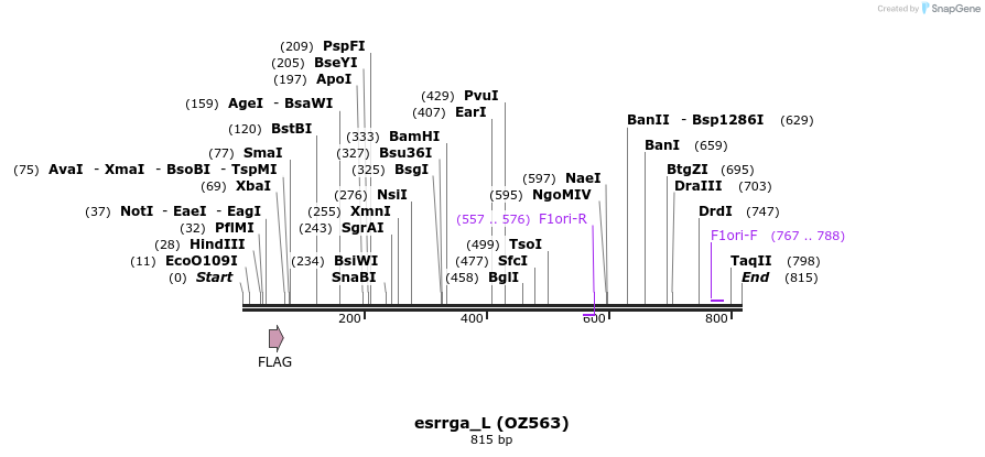 41918_map