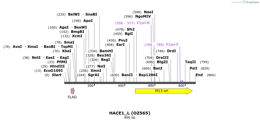 41919_map