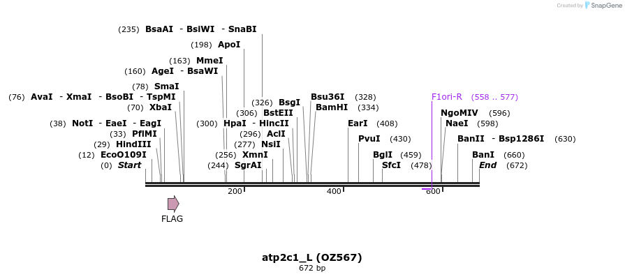 41920_map