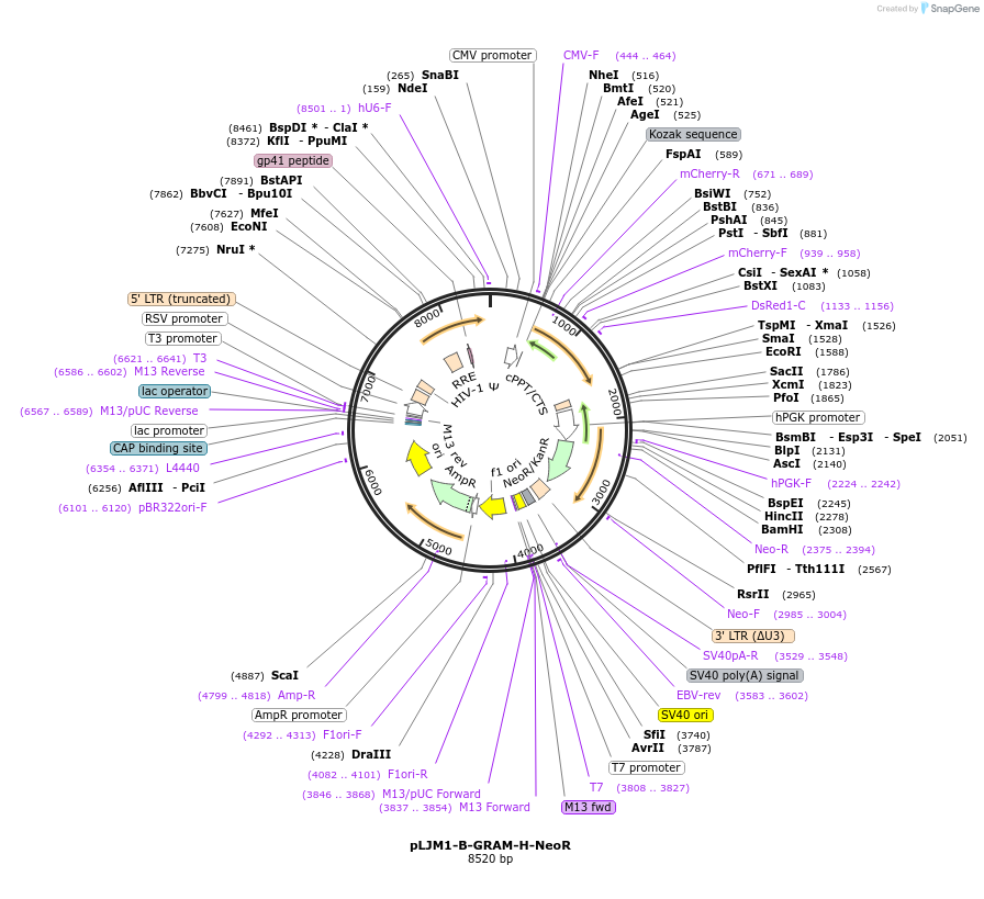 419206_map