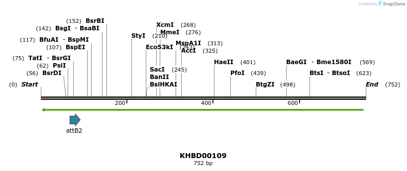 41924_map