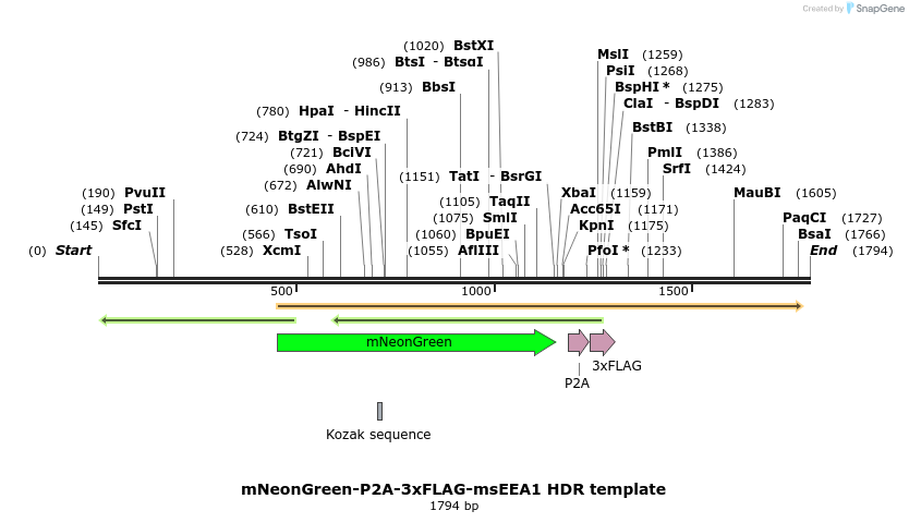 419279_map