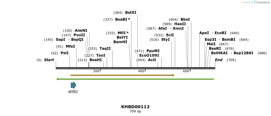 41928_map