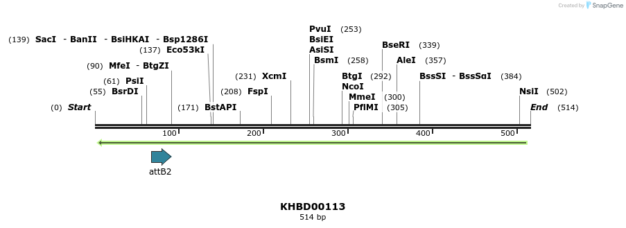41929_map