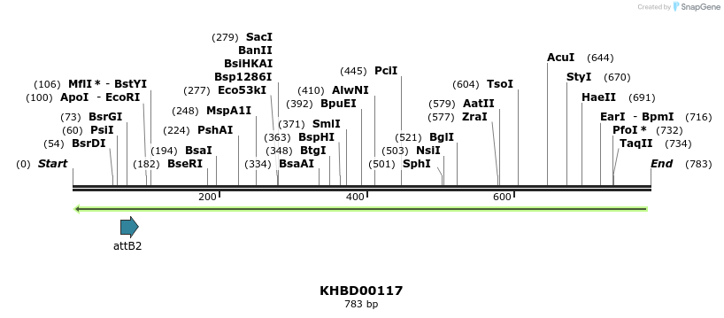 41933_map