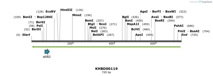 41935_map