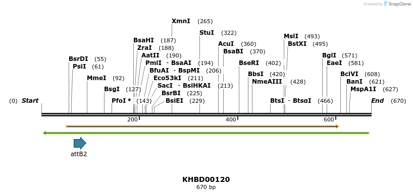 41936_map