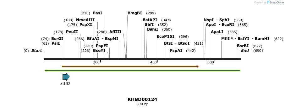 41941_map