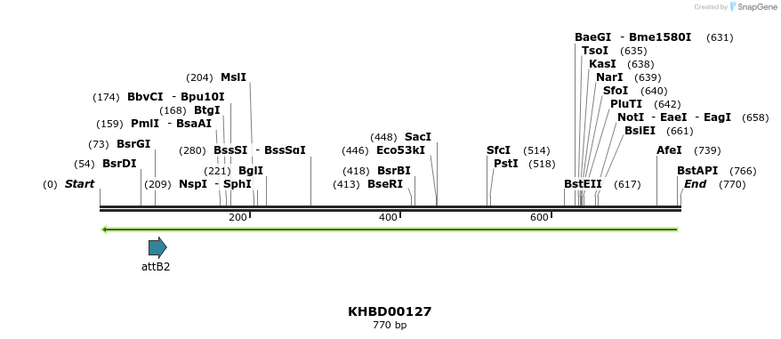 41944_map