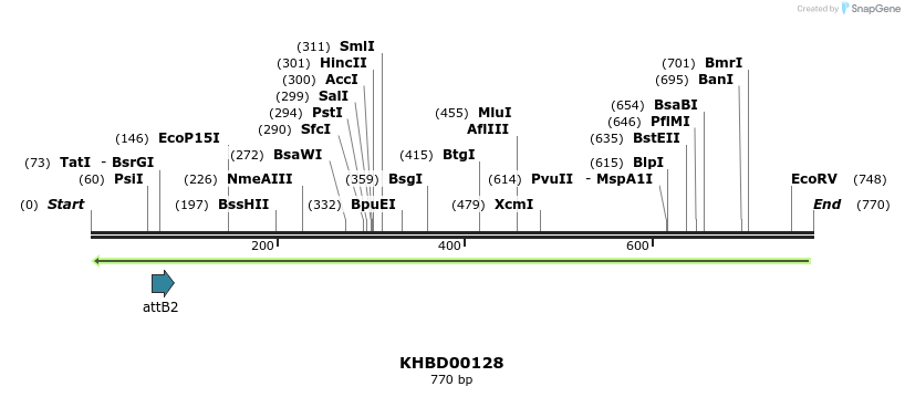 41945_map