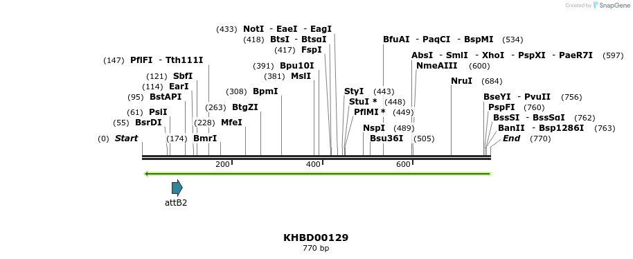 41946_map