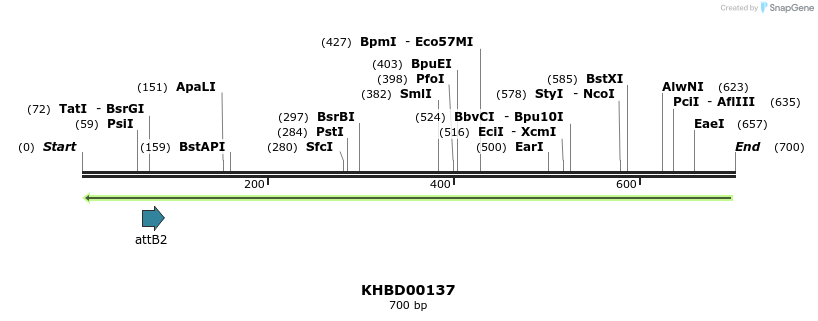 41957_map