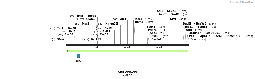 41959_map