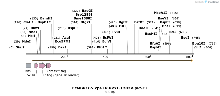 41962_map