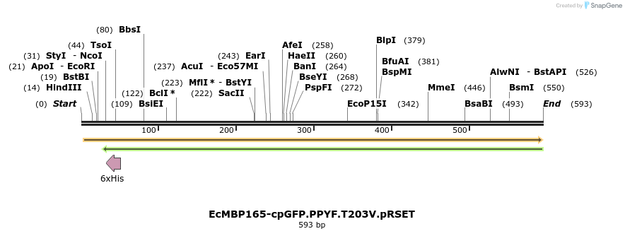 41964_map
