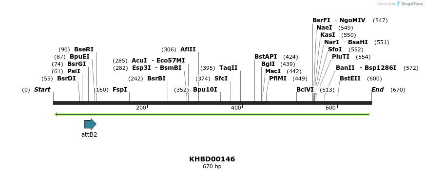 41969_map