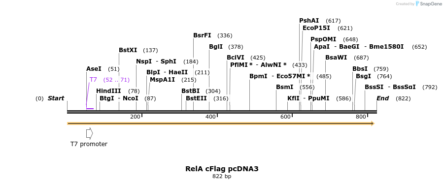 41971_map